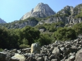 Yosemite NP